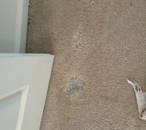 a hole in a carpet